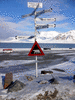 IMG_2078_1_t.gif