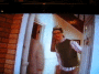 DSCN0052_t.gif