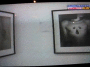DSCN0071_t.gif