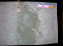 DSCN0074_t.gif