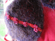 IMG_4629_t.gif