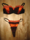 IMG_4649.v0_t.gif